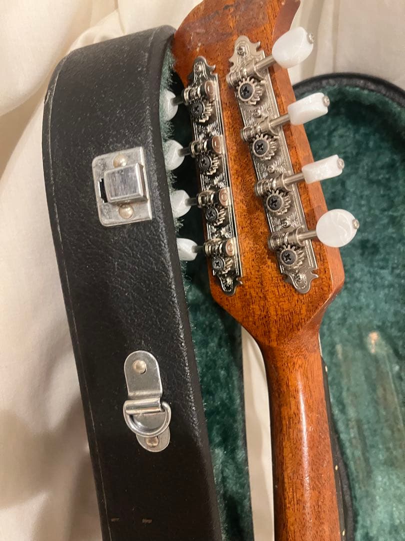 マンドリンと黒いケースセット