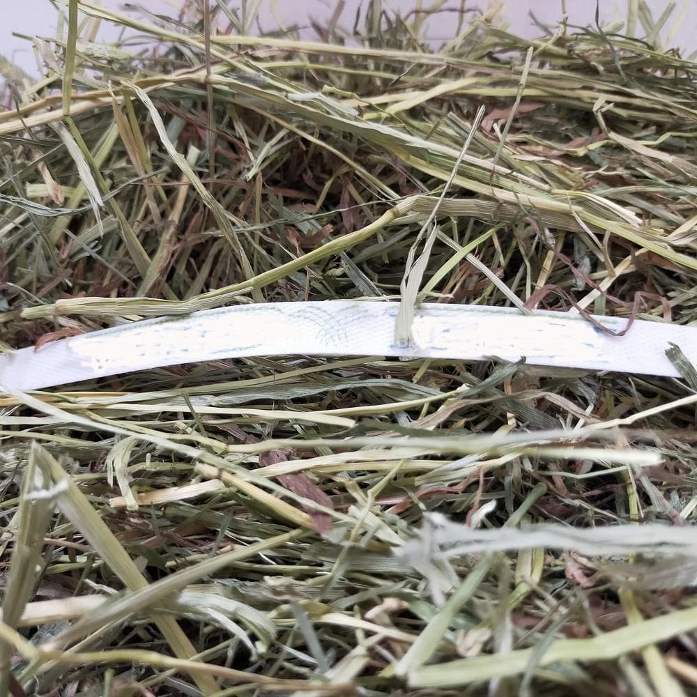 US産 チモシー 60kg ２番刈 ソフトスーパープレミアム