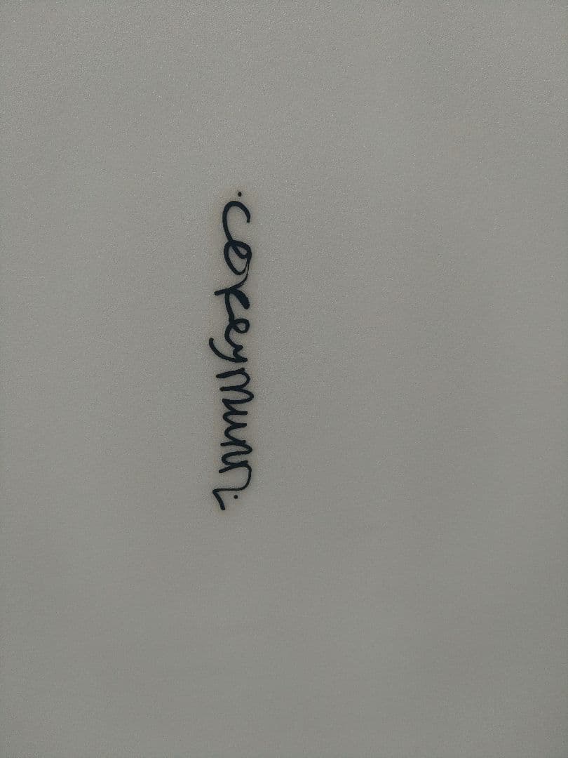 コーリーマン　ワンダーフィッシュ5'6