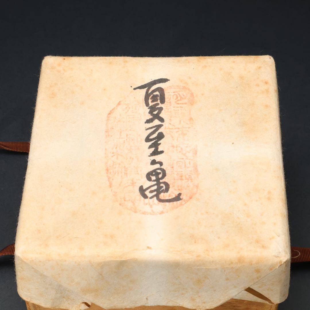 【最終価格】抹茶碗　鼠志野亀の絵　月形那比古　夏至亀　共箱　R1424お14