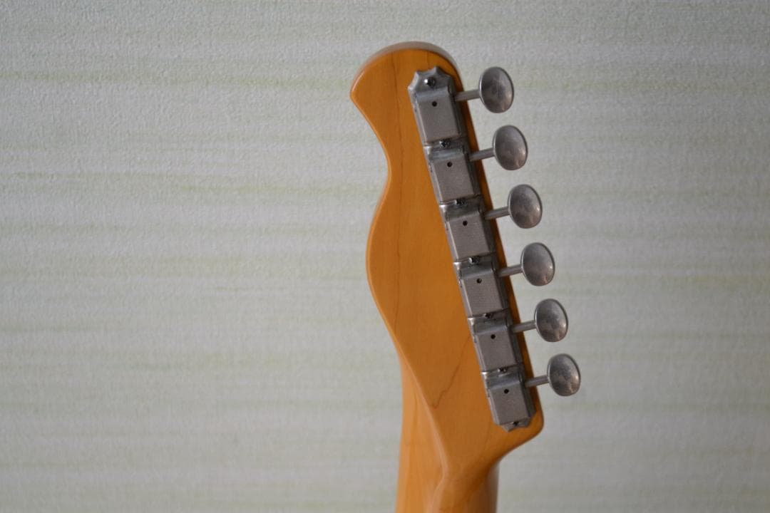 Bacchus バッカス UNIVERSE SERIESテレキャスタータイプ