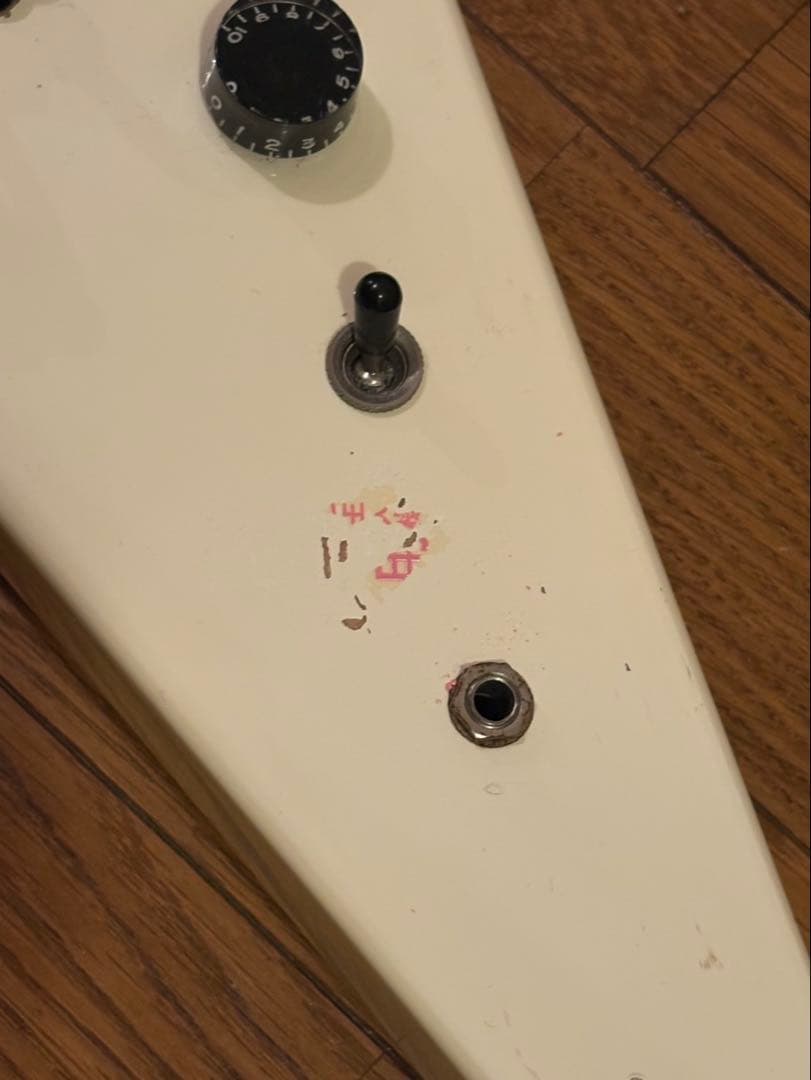 ギター Fernandes The Function