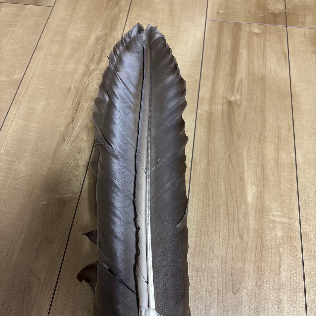 羽根御羽箒座箒（大) 茶道具茶道室58cm