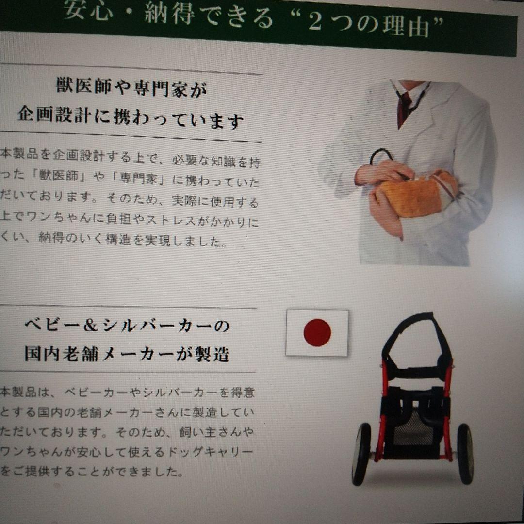 犬　車いす