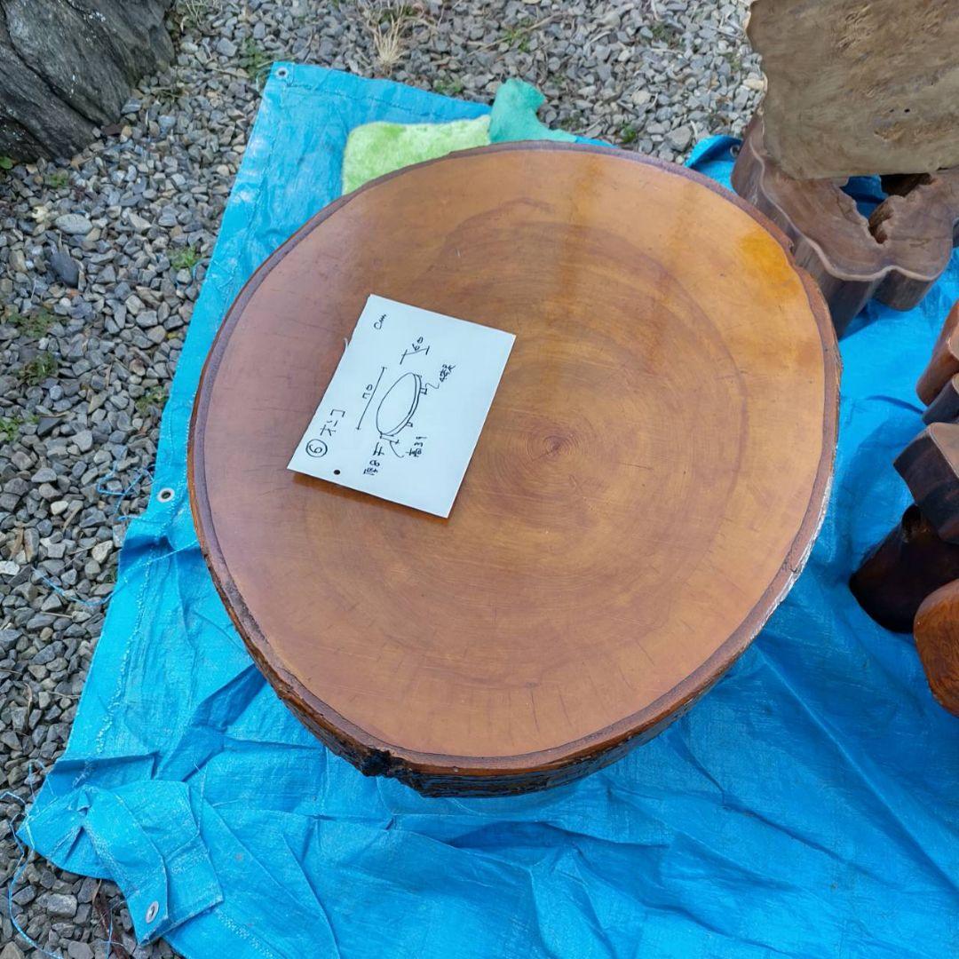 イチイ（一位）の切り株のちゃぶ台です。