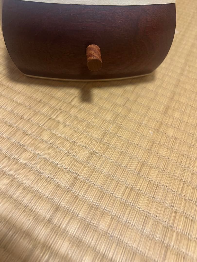 希少　白紅木　地歌用三弦　黒檀糸巻き　天然素材撥　ハードケース付き
