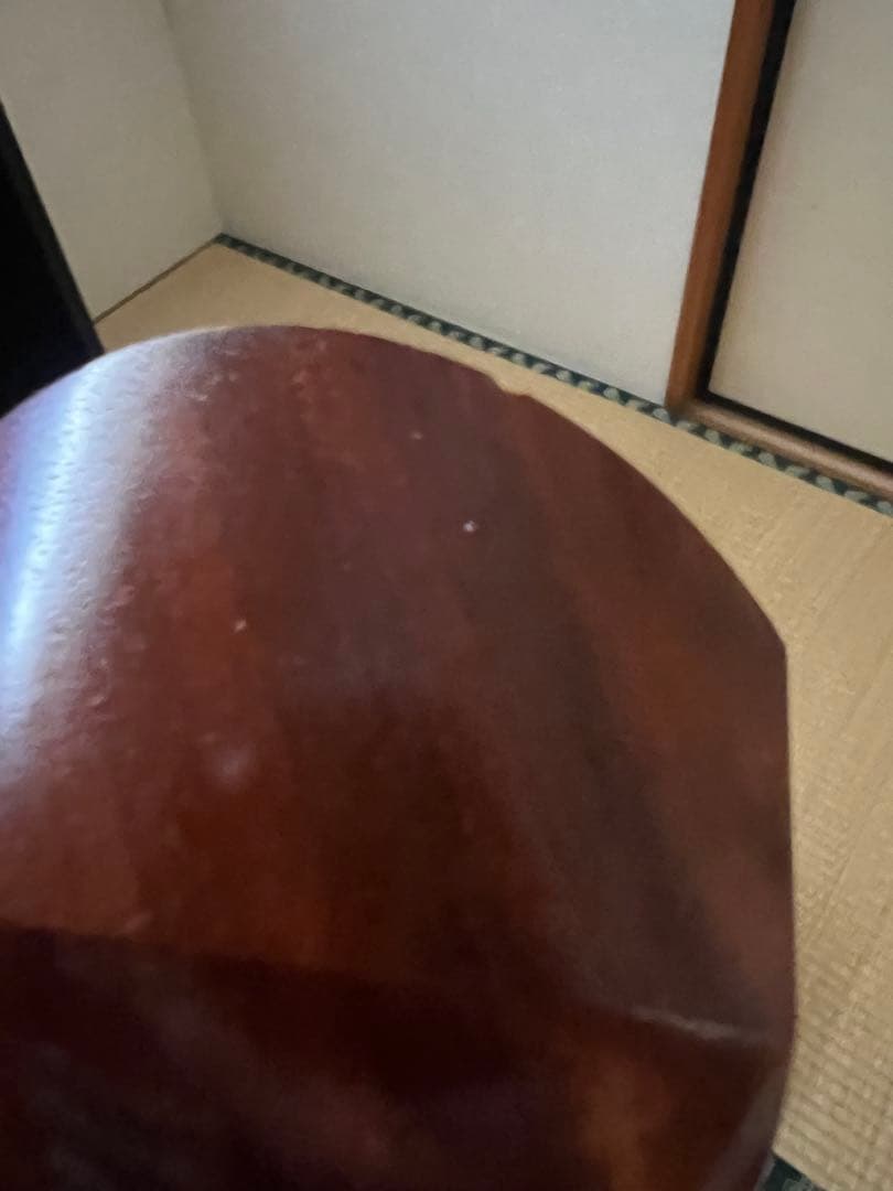 希少　白紅木　地歌用三弦　黒檀糸巻き　天然素材撥　ハードケース付き