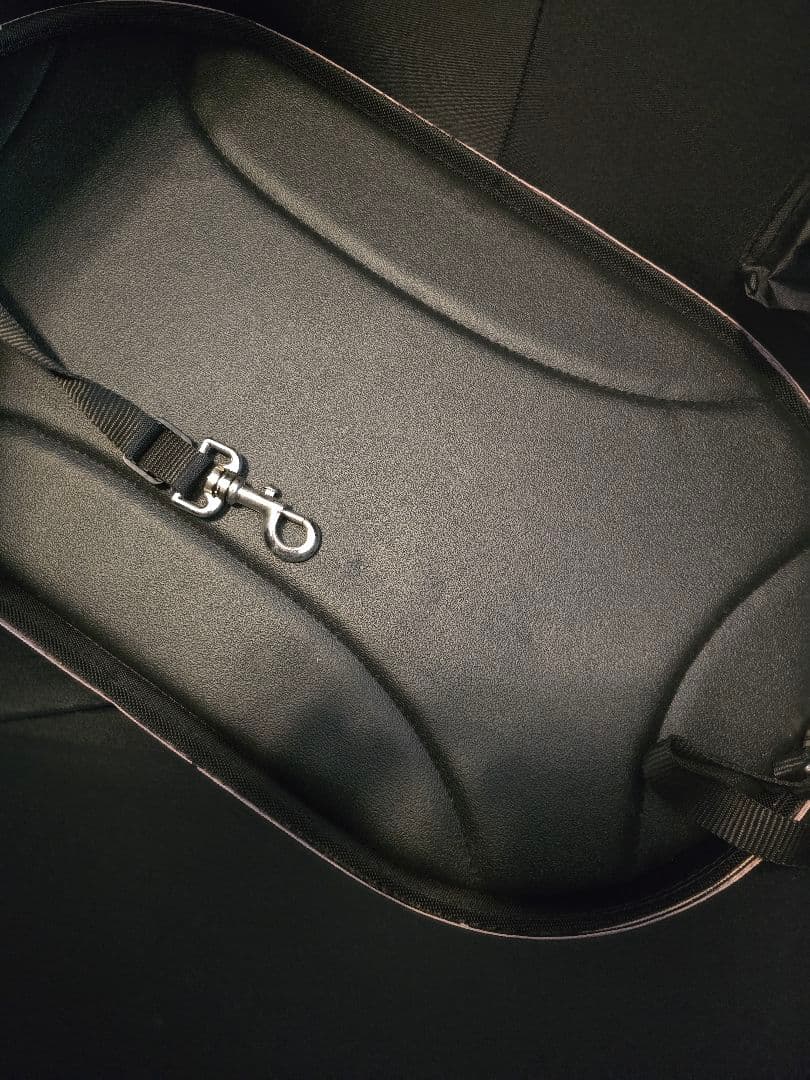 直接取引歓迎☆エアバギー ドーム3 レギュラーサイズ　ブロッサム