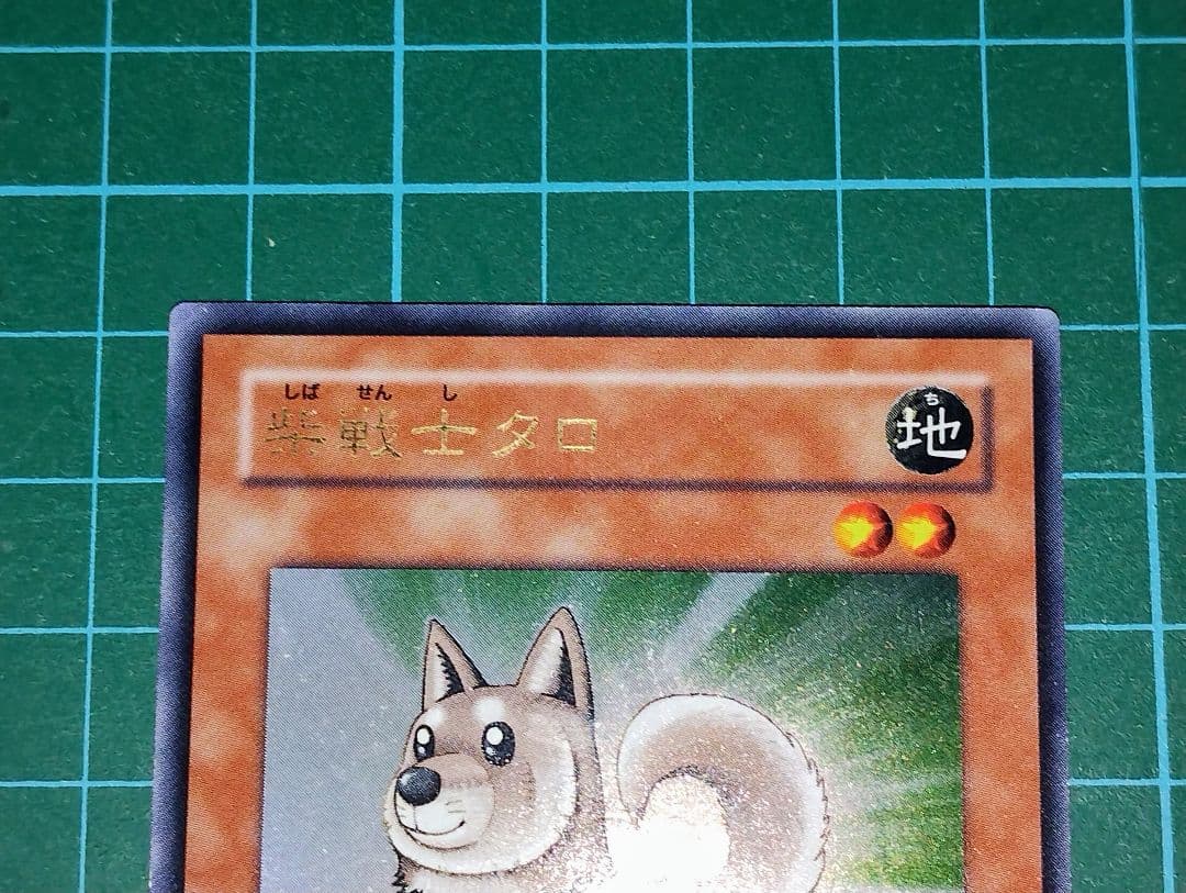 【激レア！？】遊戯王　エラーカード　柴戦士タロ　ふりがなズレ