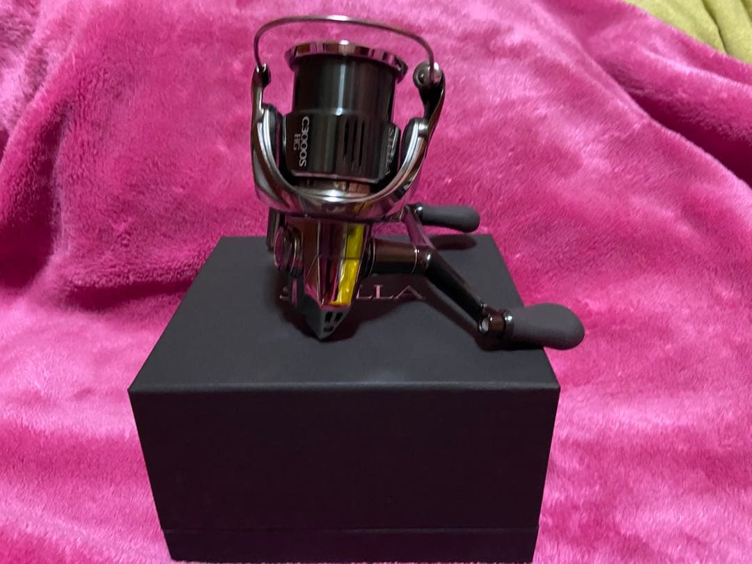 【限定値下げ】 22ステラC3000SDHHG