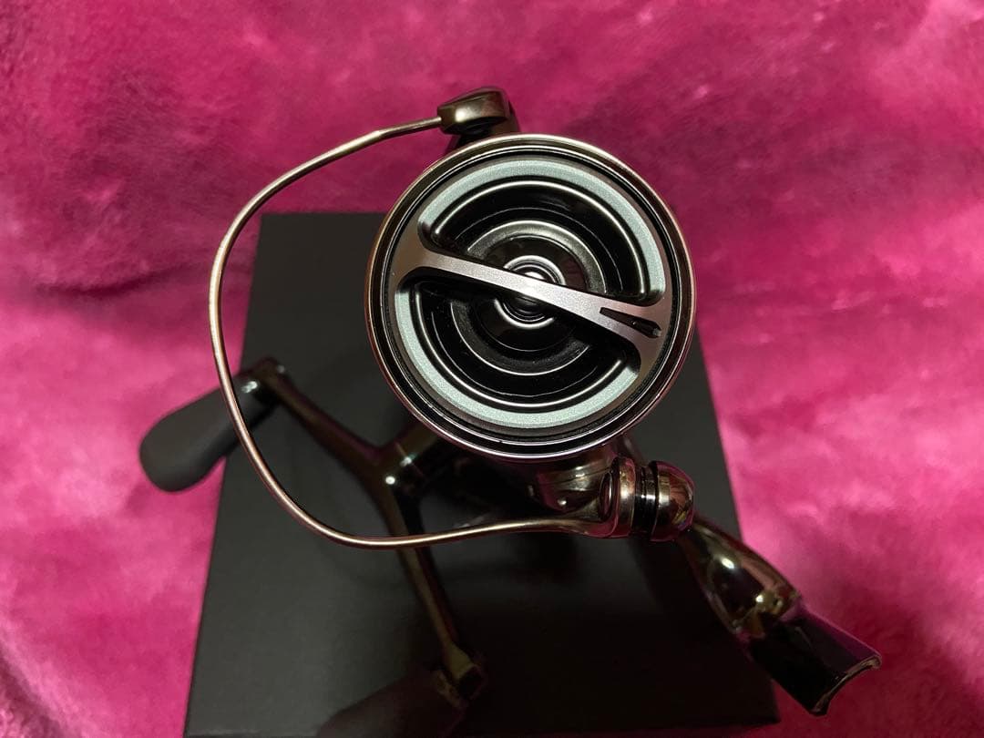 【限定値下げ】 22ステラC3000SDHHG