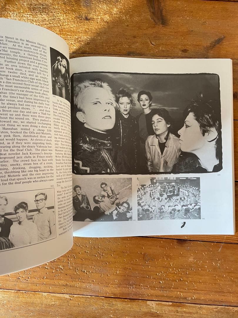 洋書 HARDCORE CALIFORNIA 1983