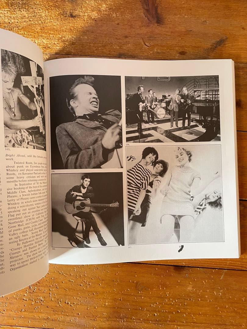 洋書 HARDCORE CALIFORNIA 1983