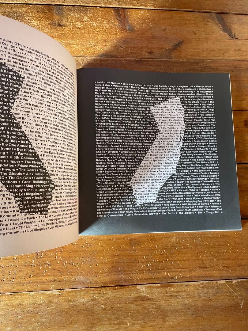 洋書 HARDCORE CALIFORNIA 1983