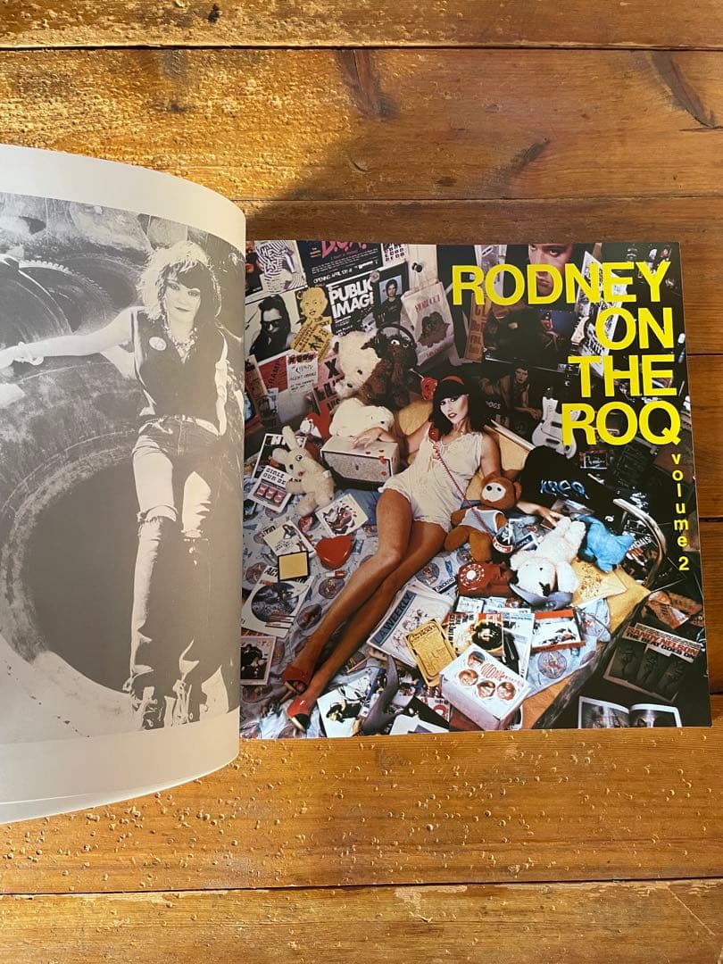 洋書 HARDCORE CALIFORNIA 1983