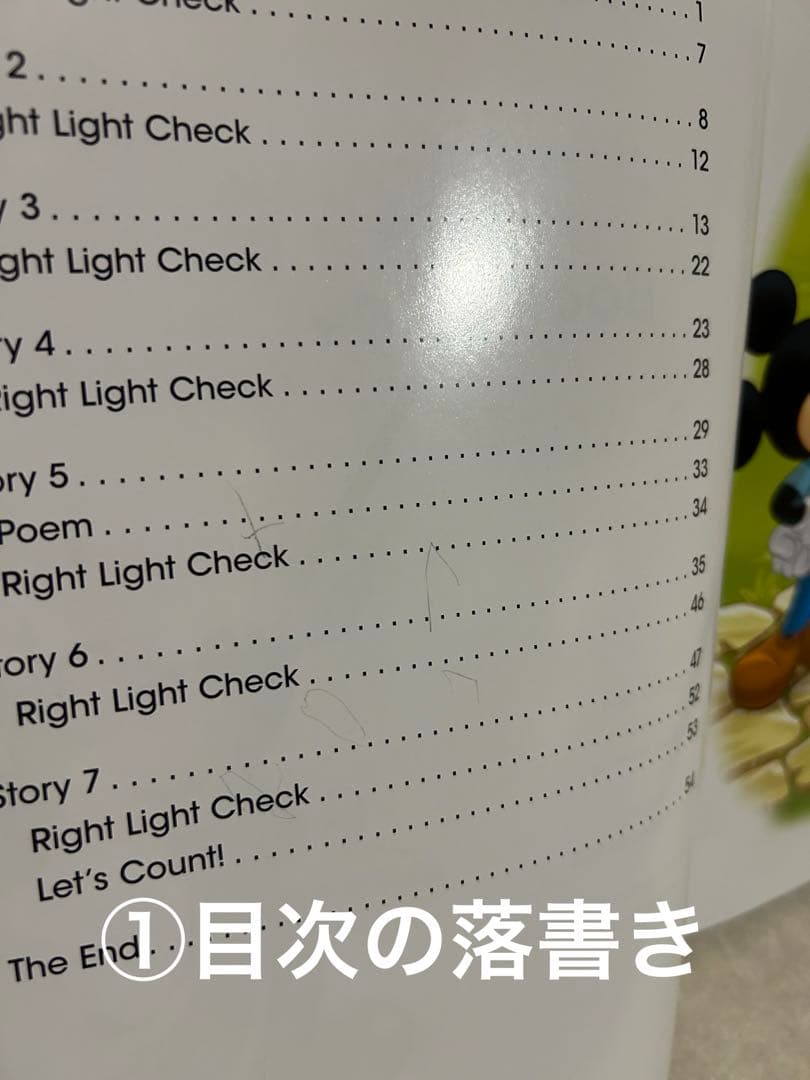 Disney World of English 知育玩具　絵本　Blu-ray