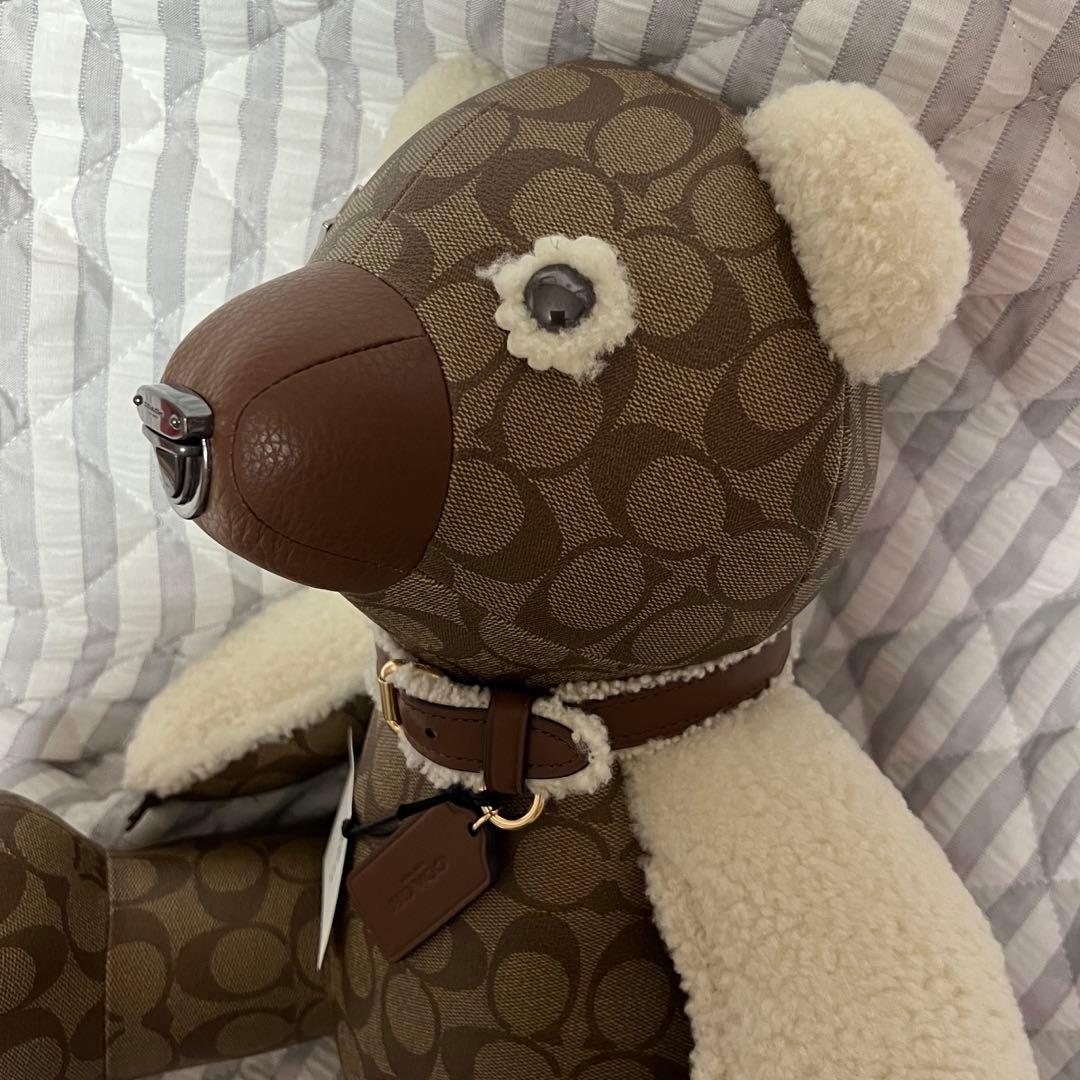 お顔厳選！コーチ・ベア