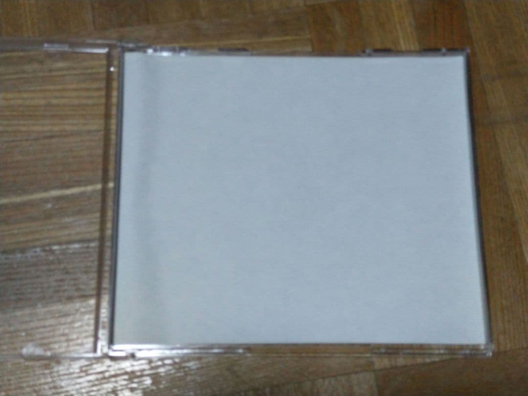 BAD LOSER ハリー・スキュアリー 南安秀 X-Ray 藤井良明