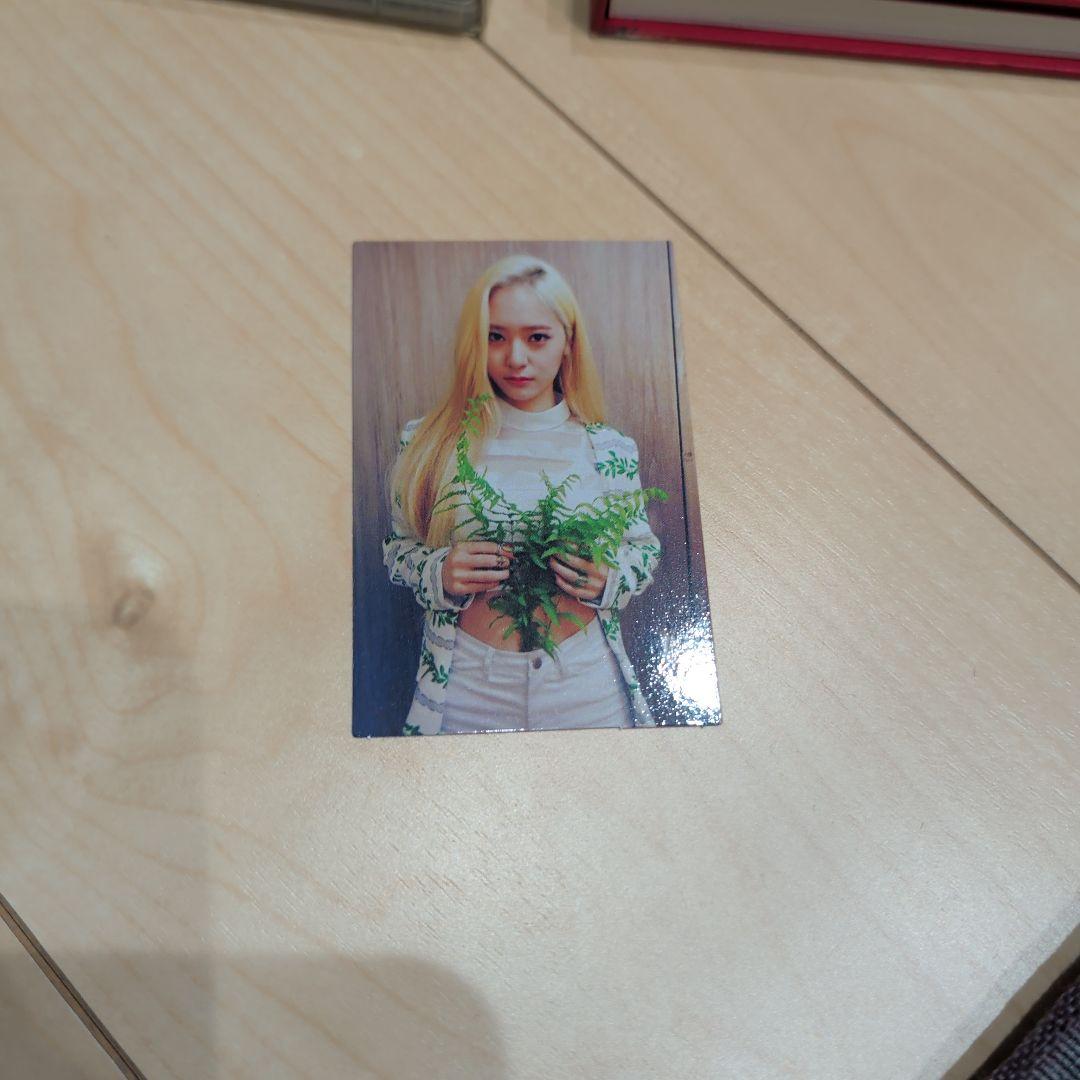 f(x) 4walls electric shock NU ABO うちわセット