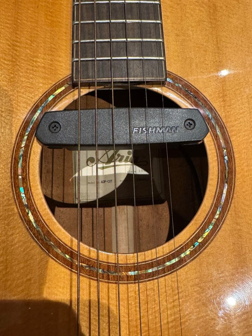 【セール中】Aria オール単板 Fishmanピックアップ付き ADF-CST