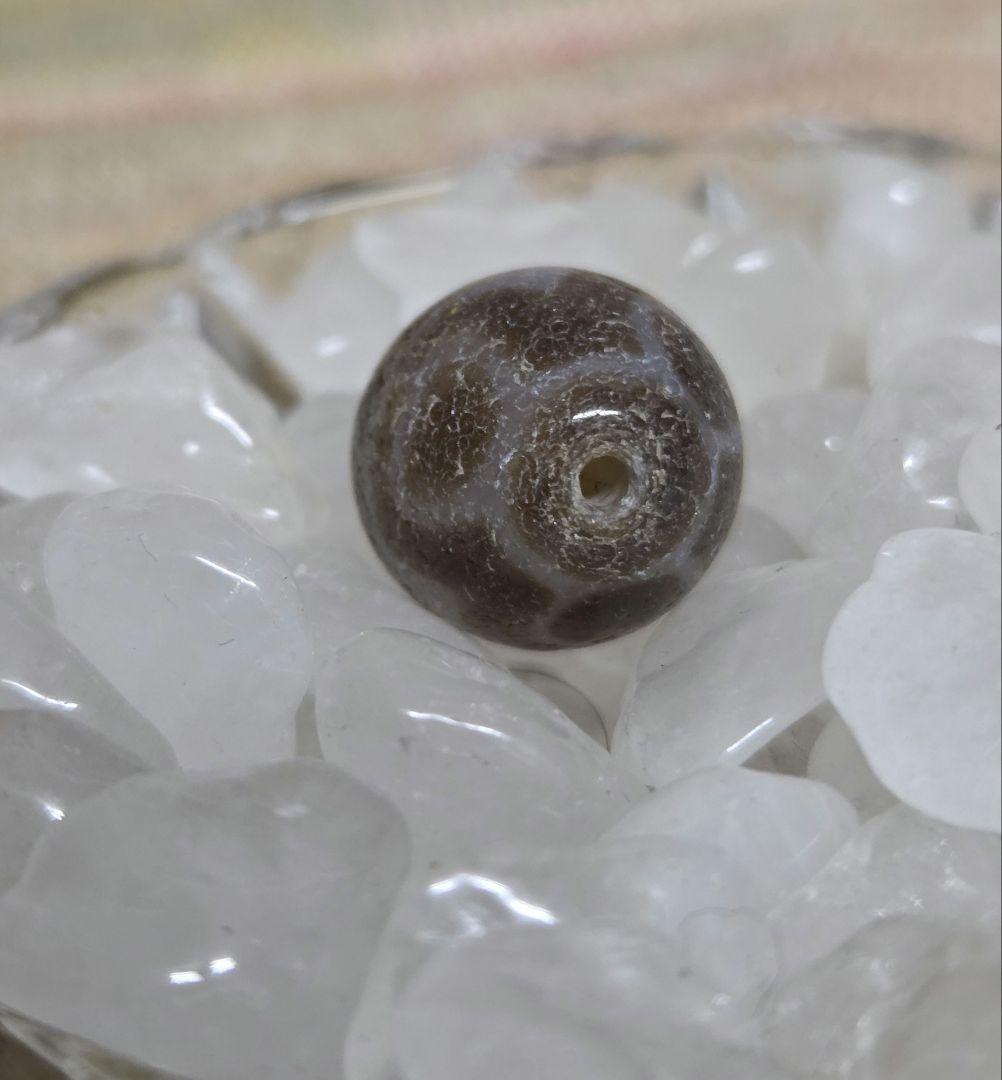 052　天珠　楕円形　虎牙蓮花天珠　dzibeads！