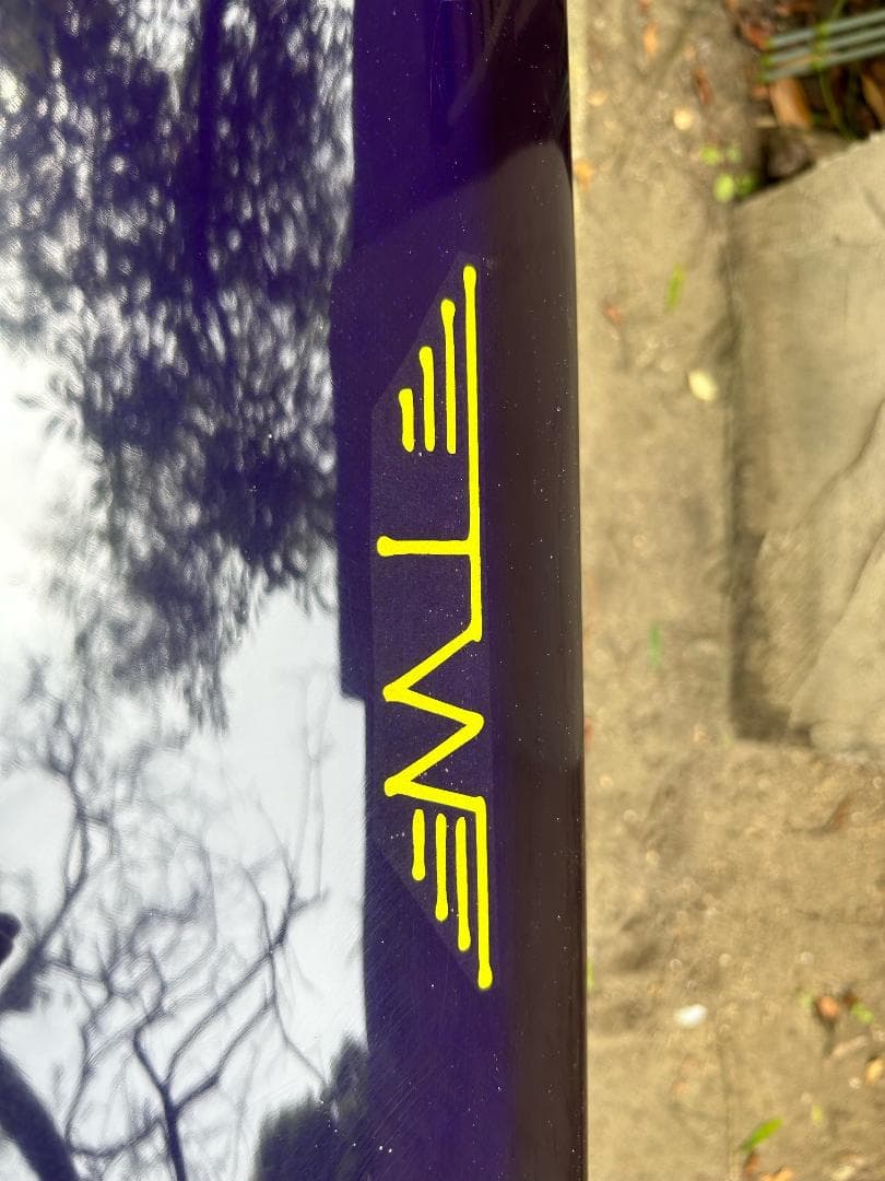 新品タイラーウォーレン Dream Fish 7’0 フィッシュ ツイン 手渡し