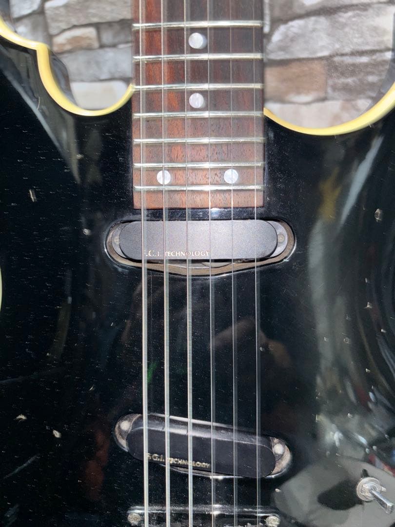 フェルナンデス BT-110HH buck-tick