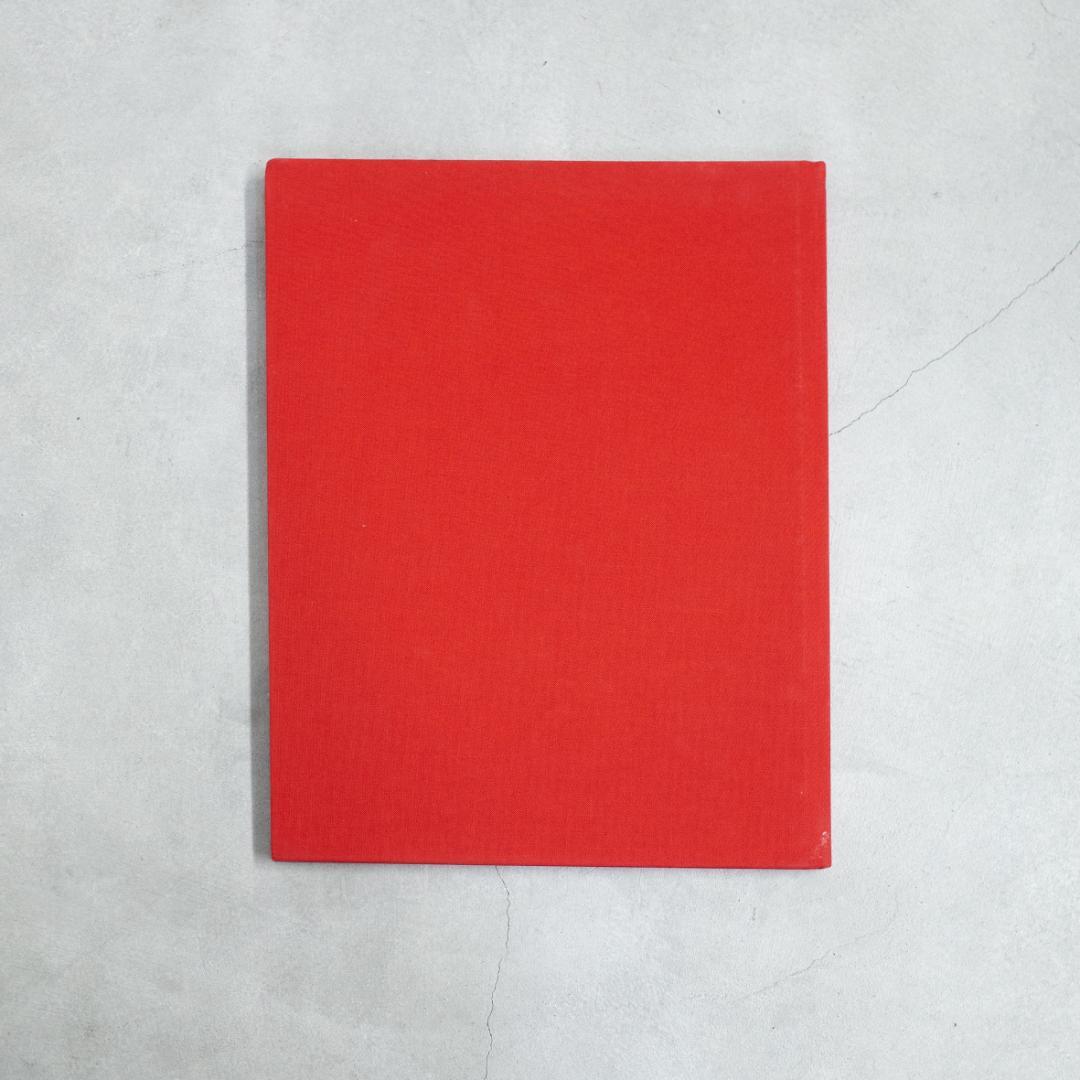 Coco Capitán MIDDLE POINT BETWEEN MY HOU