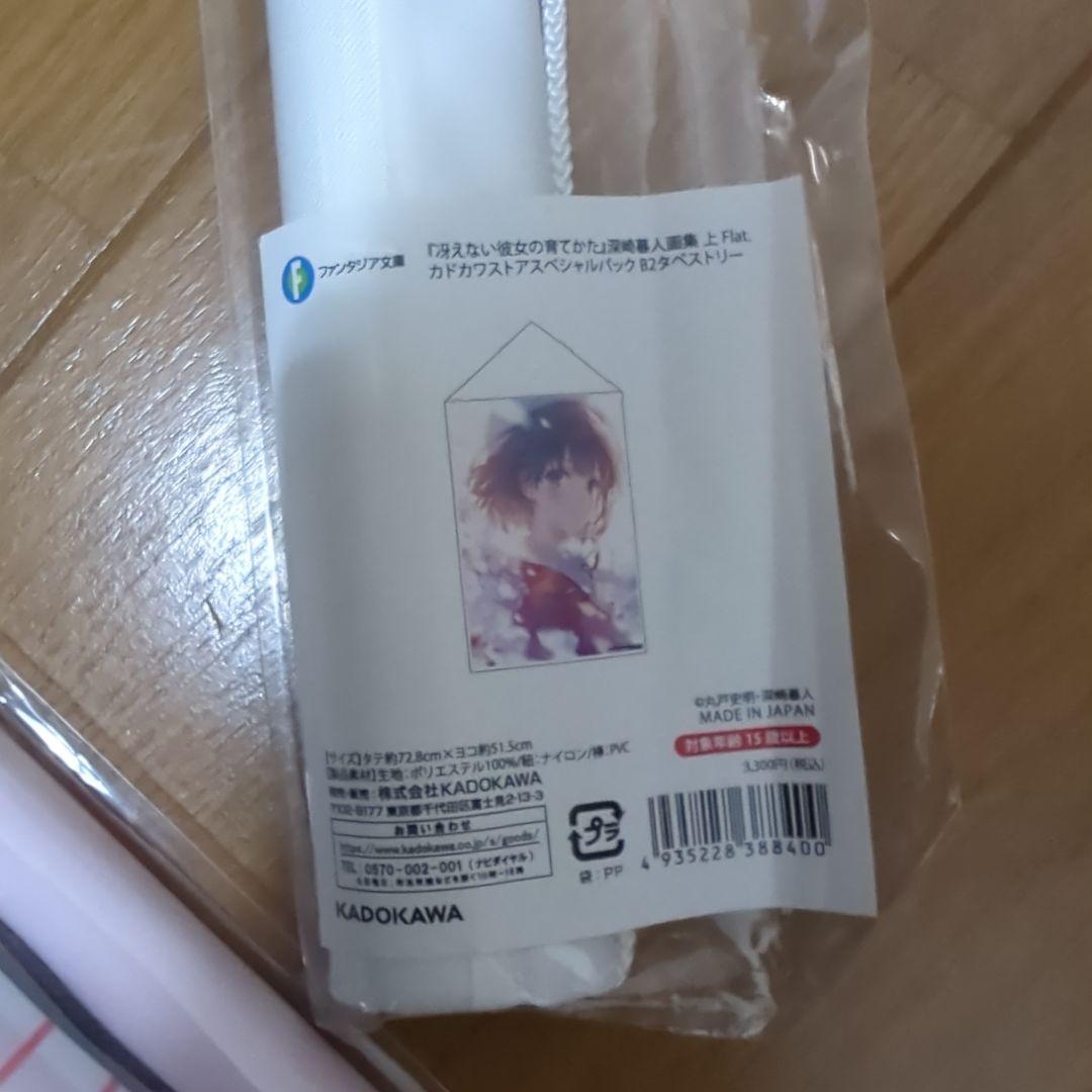 か*読様 冴えない彼女の育てかた 引退品 まとめうり