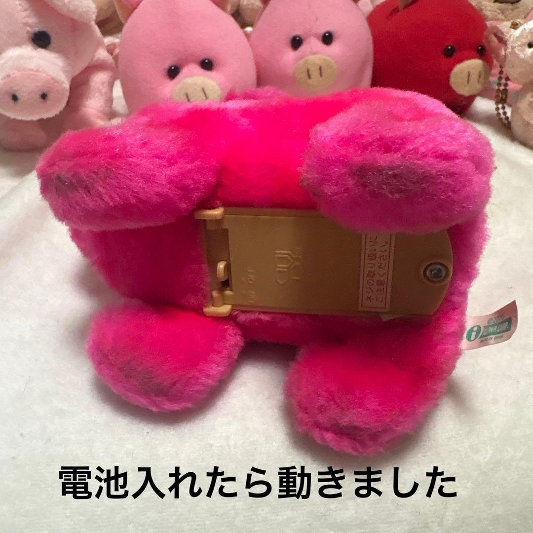 ブタ ぬいぐるみ＆マスコット 20こ まとめ売り バラ売り不可 中古品 ①