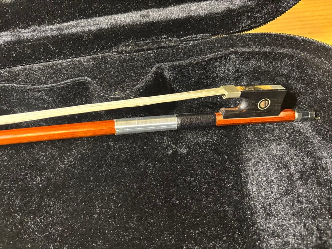 Carlo Giordano カルロジョルダーノ1/8 バイオリン VS-1