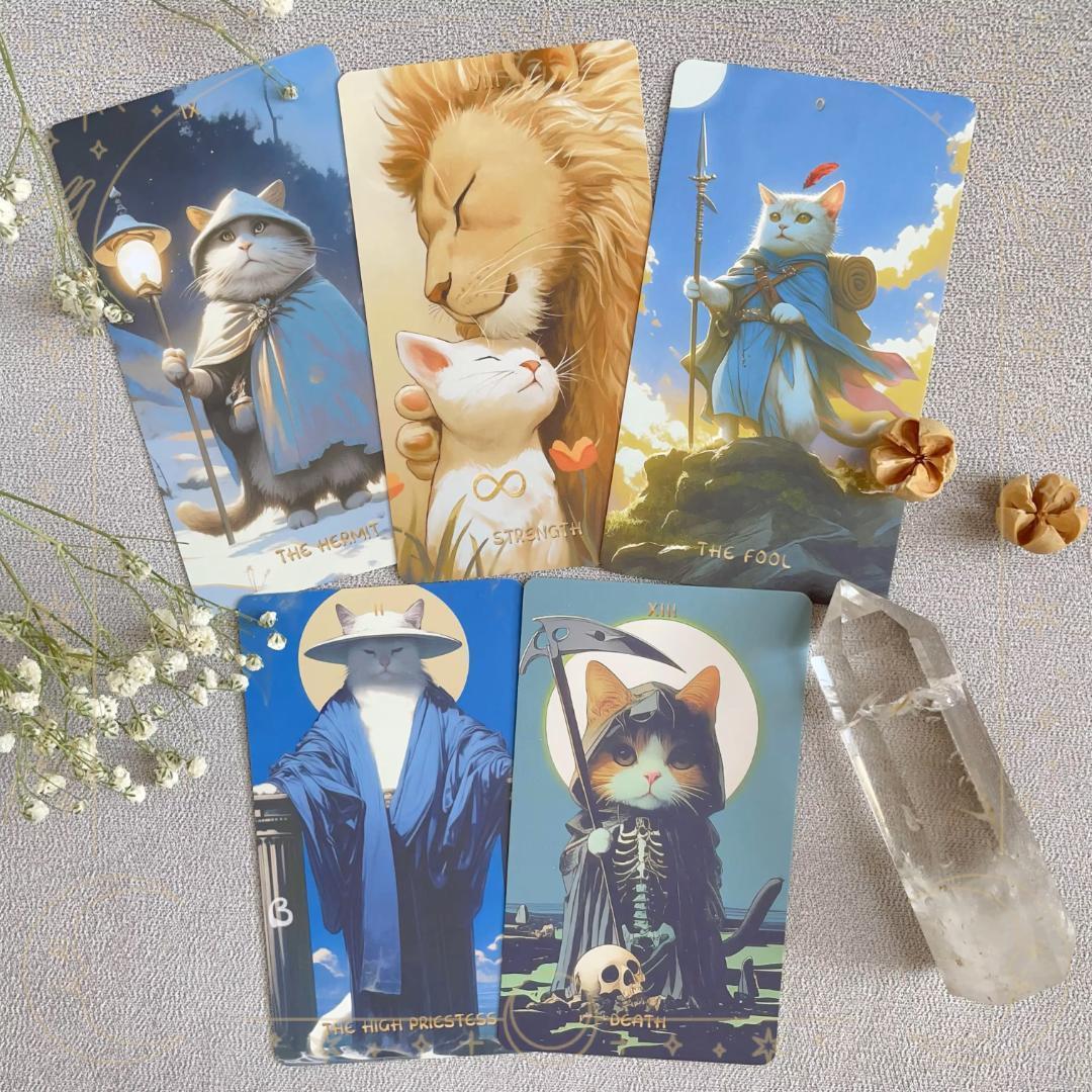 Midnightは猫が好きཐི♡⃘ཋྀ★タロット