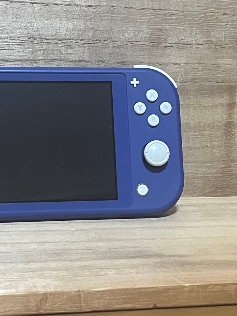 Switch スイッチライト 本体 動作確認済み 不具合無し 美品