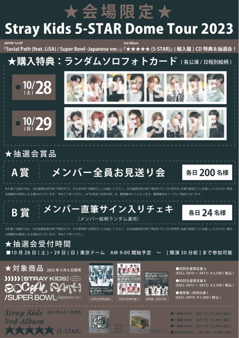 ♡ Stray Kids スキズ リノ 直筆 サイン チェキ B賞 ポラ