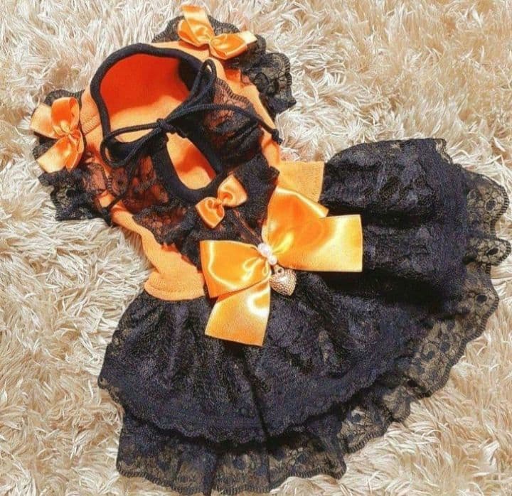 犬服・アクセサリー Yuu