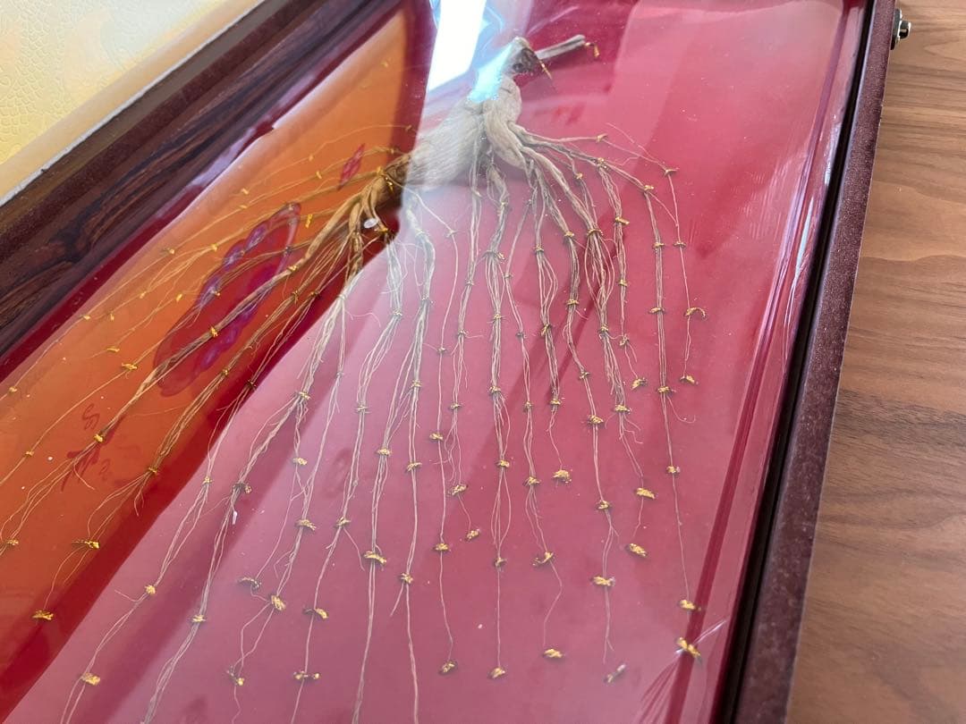 高級 高麗人参 東北山参 朝鮮人参 希少 鑑定書 木箱付 お土産 豪華 素敵