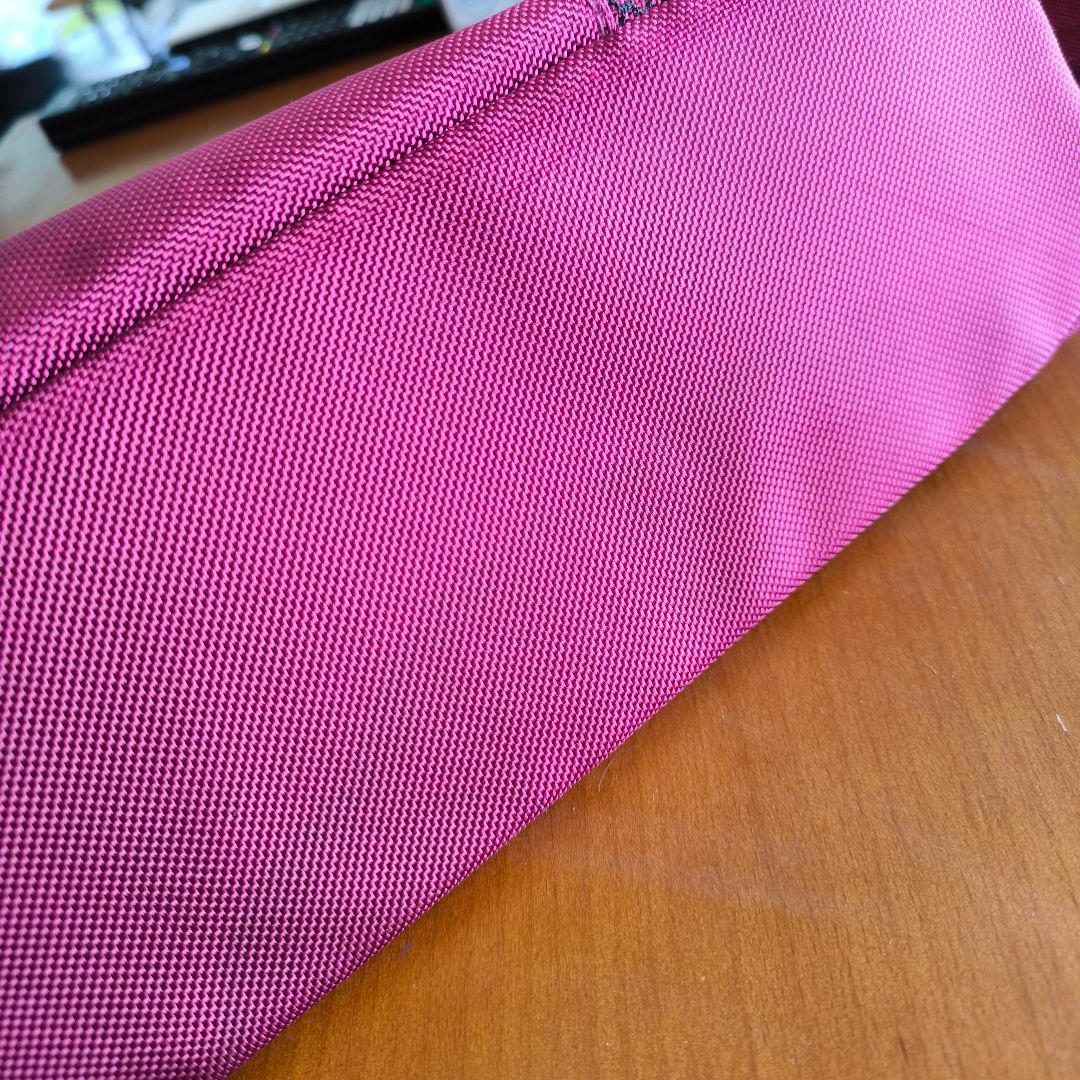 ピッコロカーネ タント2 ペットカート バギー キャリー 中古 ※数日限定値下