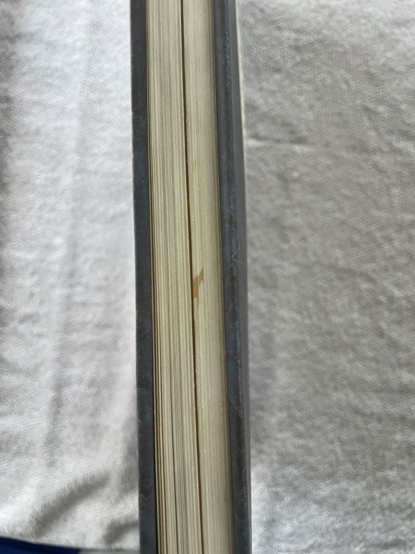 3代目彫よし　百鬼図　値下げ可能