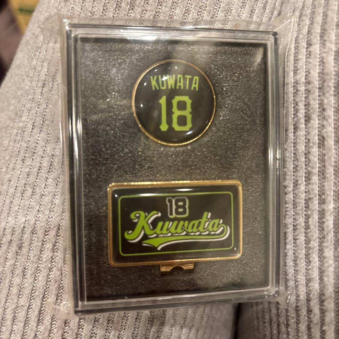 元ジャイアンツ桑田真澄直筆サイン入り野球 18番 ケース付きピンおまけ