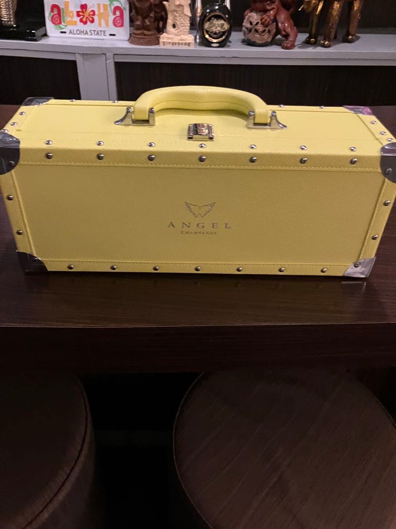 希少 エンジェル ヘイローケース 7色