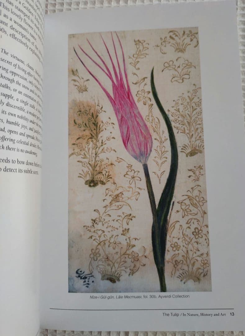 トルコ チューリップの本　In Nature, History and Art
