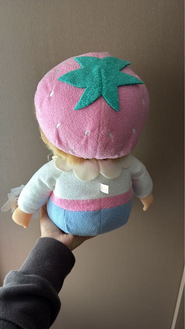 スイートシュガー　モンチッチ Lサイズ 男の子 お値引き不可