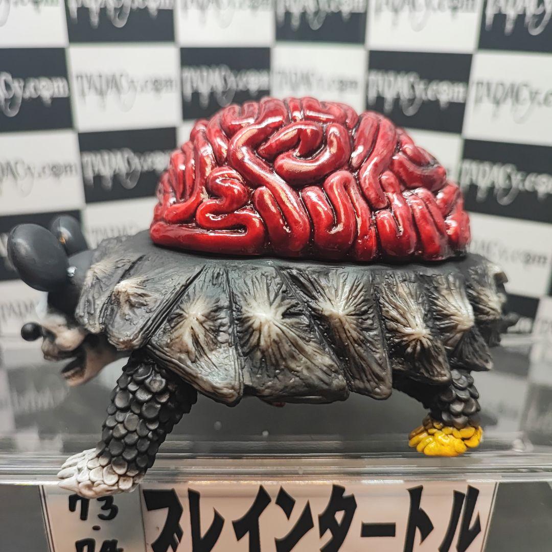 73.74ブレインタートルセット