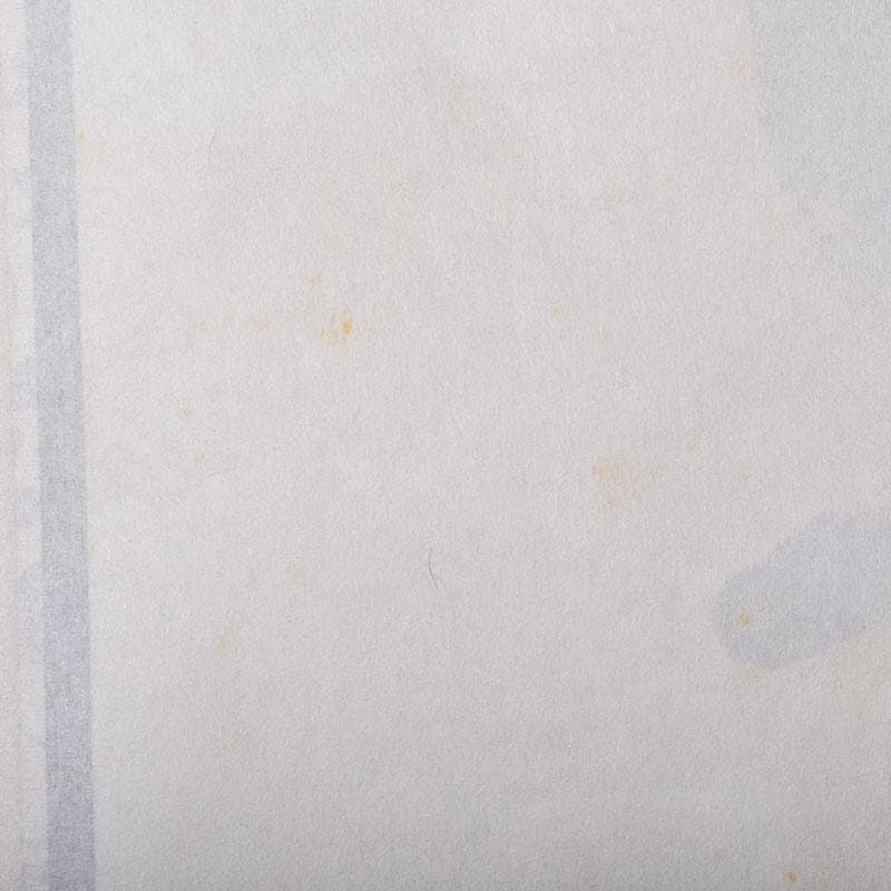 掛軸　前大徳　雪尾要道筆　一行書　「南無阿弥陀仏」　共箱　C　8467A