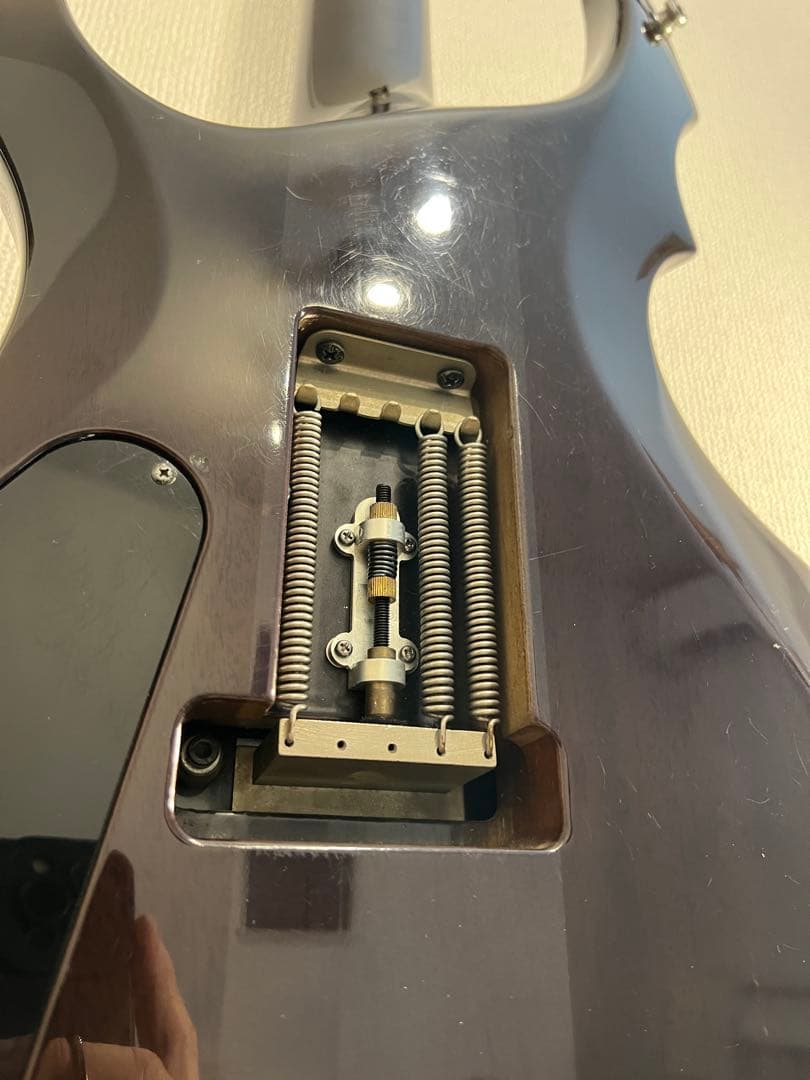 ESP Forest-GT 2002年製　シースルーブラック