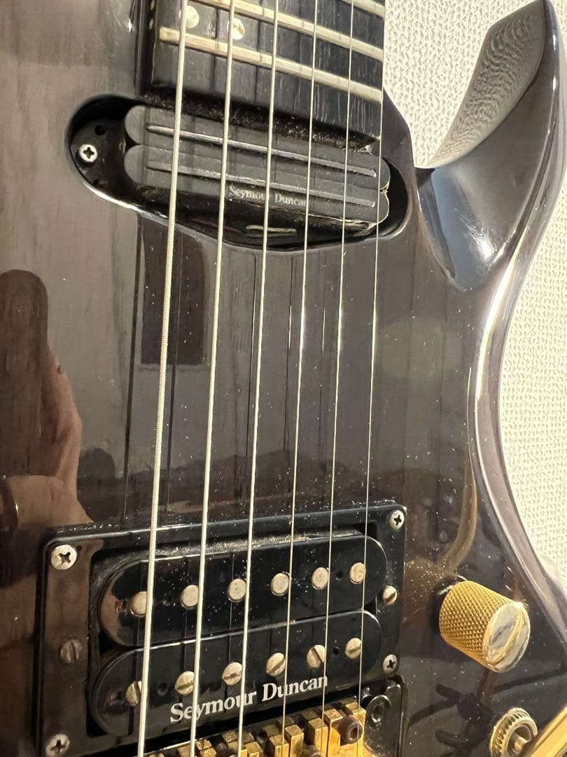 ESP Forest-GT 2002年製　シースルーブラック