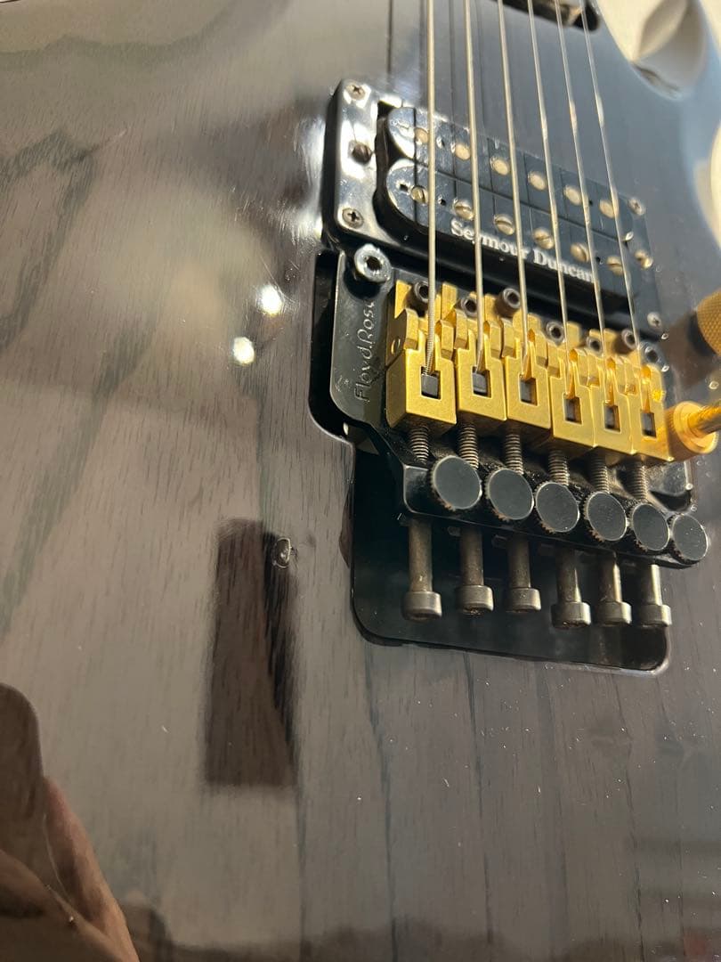 ESP Forest-GT 2002年製　シースルーブラック