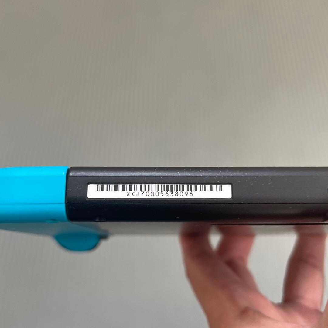 (いわちゃんさま専用 )Nintendo Switch 本体 青/青