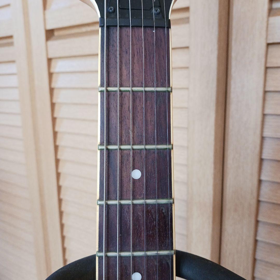 Ibanez エレキギター RG421EX