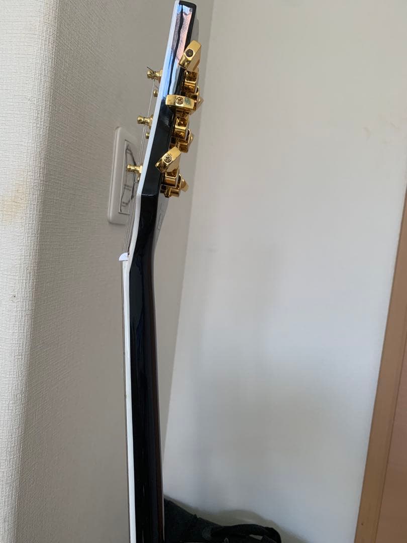 Blitz by AriaProII　レスポールカスタム　タイプ　エレキ